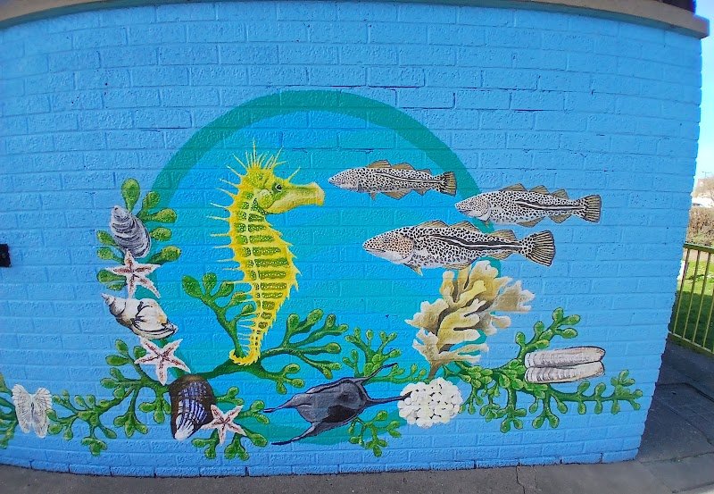 Seahorses Mural Cleethorpes