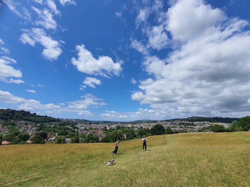 Bathwick Meadow