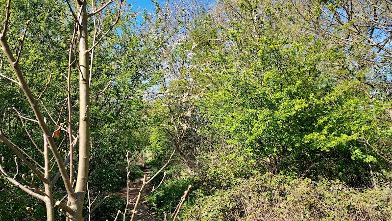 Wolvercote Goose Green