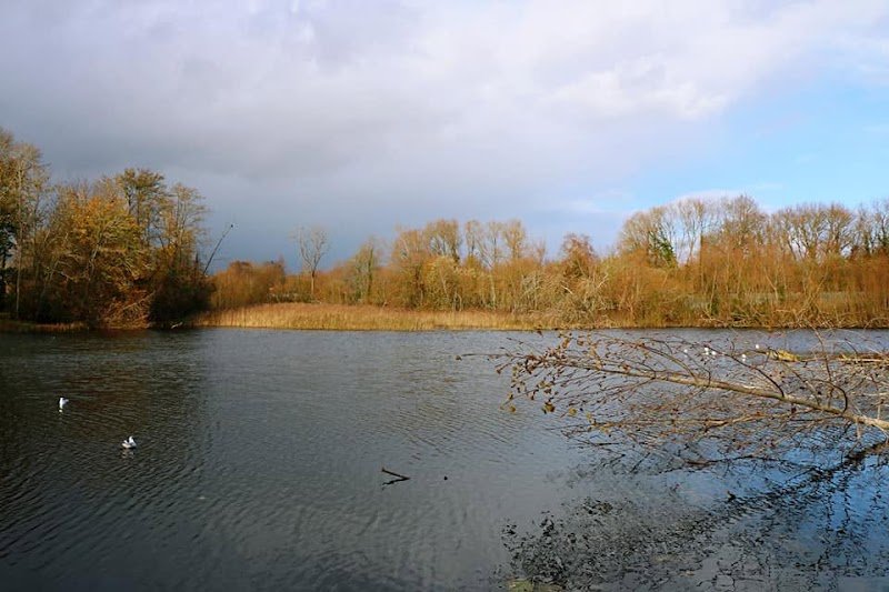 Wolvercote Lakes