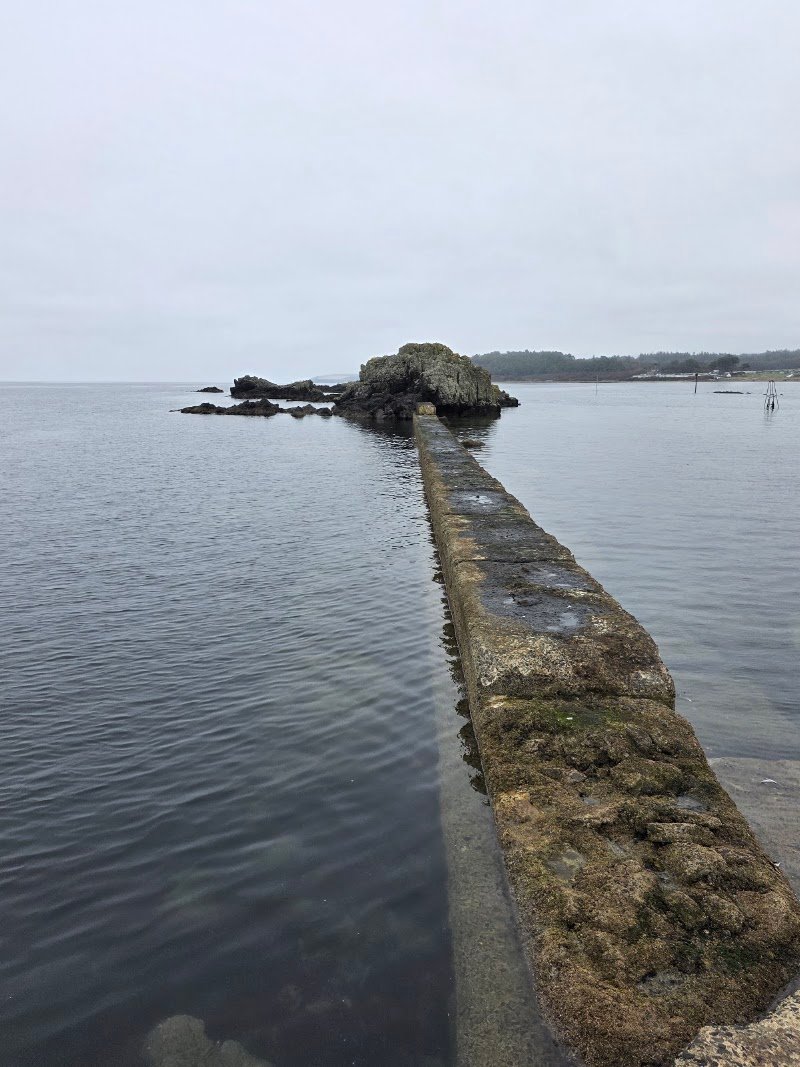 MAIDEN HARBOUR
