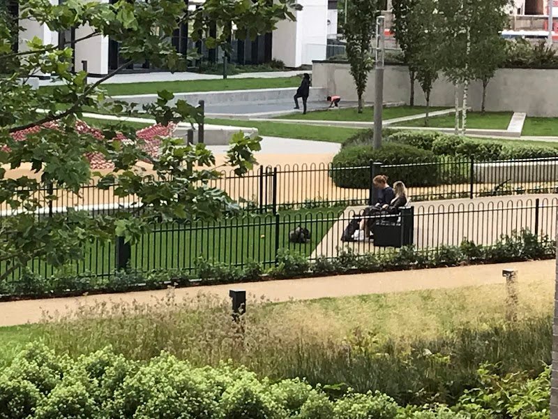 Dog Run