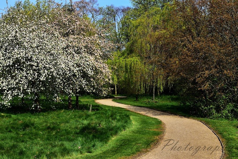 Attenborough Arboretum