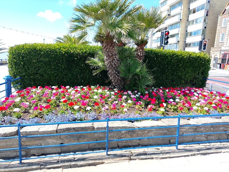 Carpet gardens