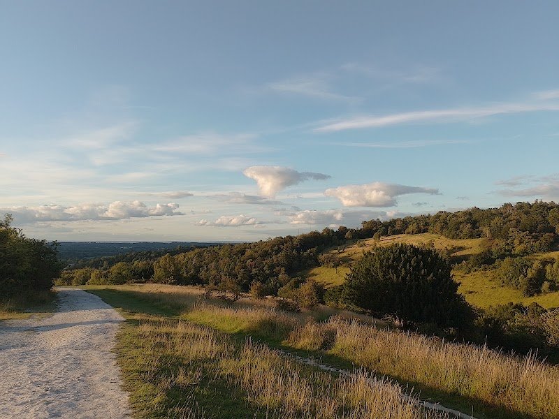 Surrey Hills View