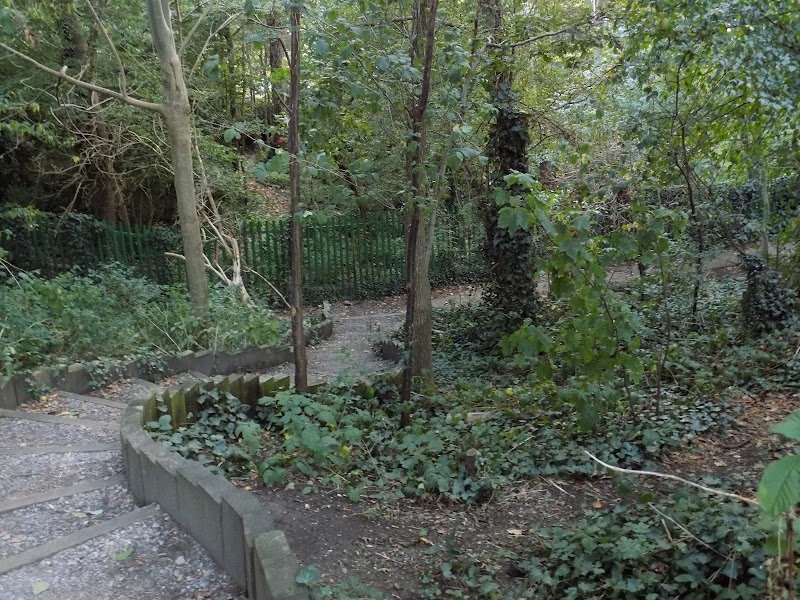 Westbere Copse