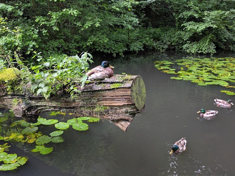 Long Wood Nature Reserve