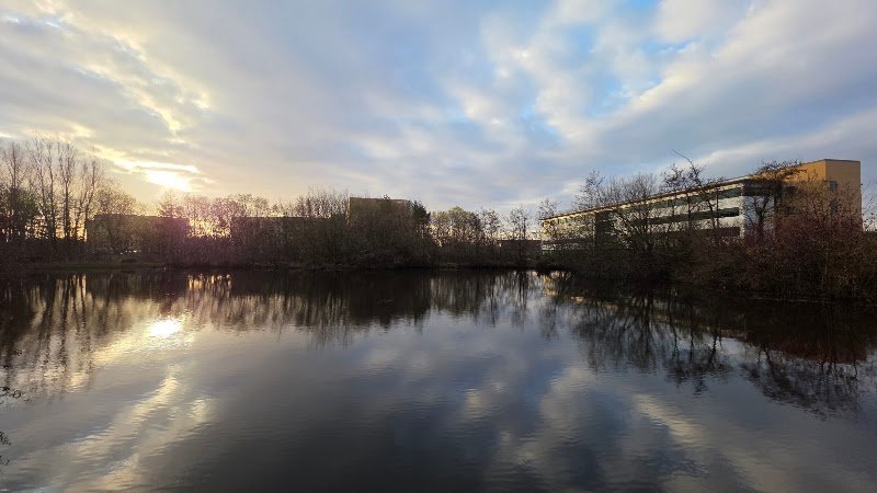 Silverlink Biodiversity Park