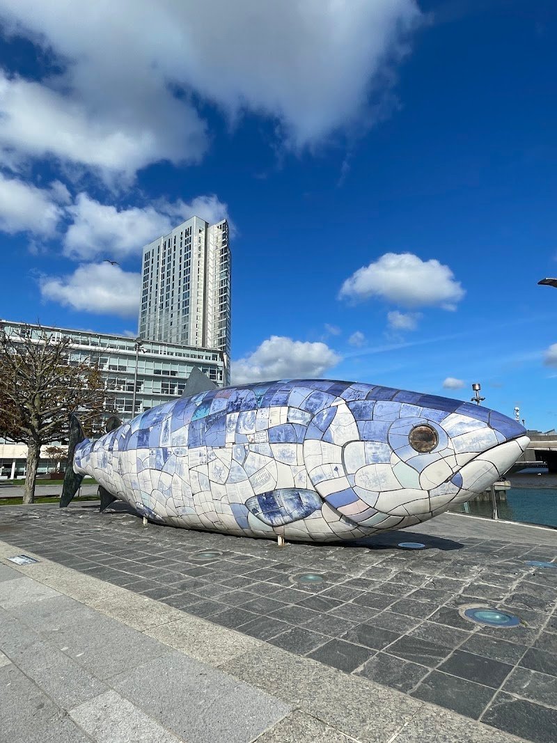 The Big Fish