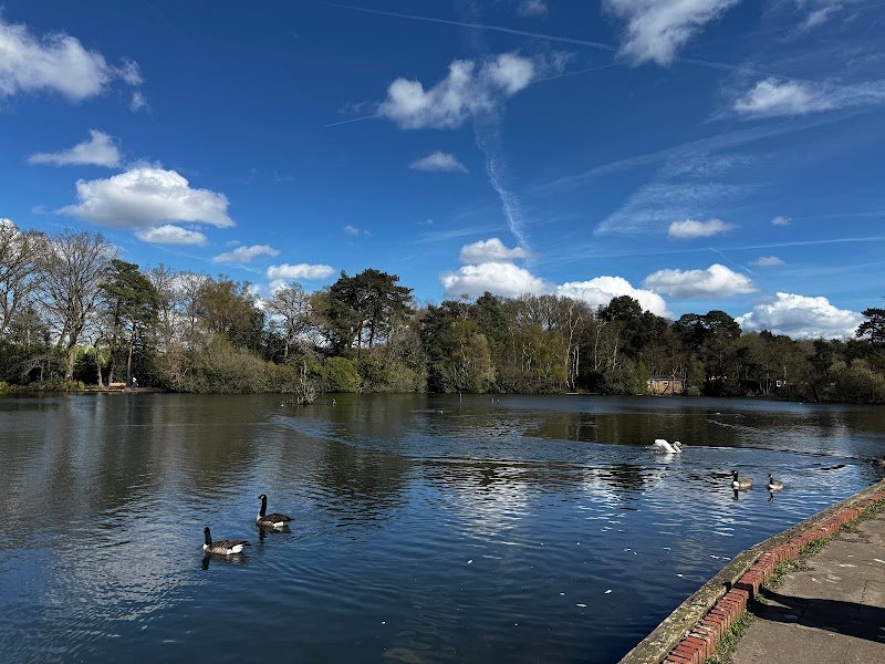 California Country Park