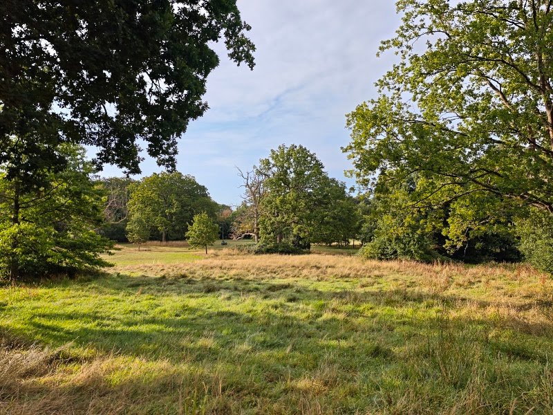 Lily Hill Park