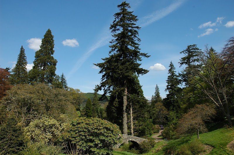 Dawyck Botanic Garden