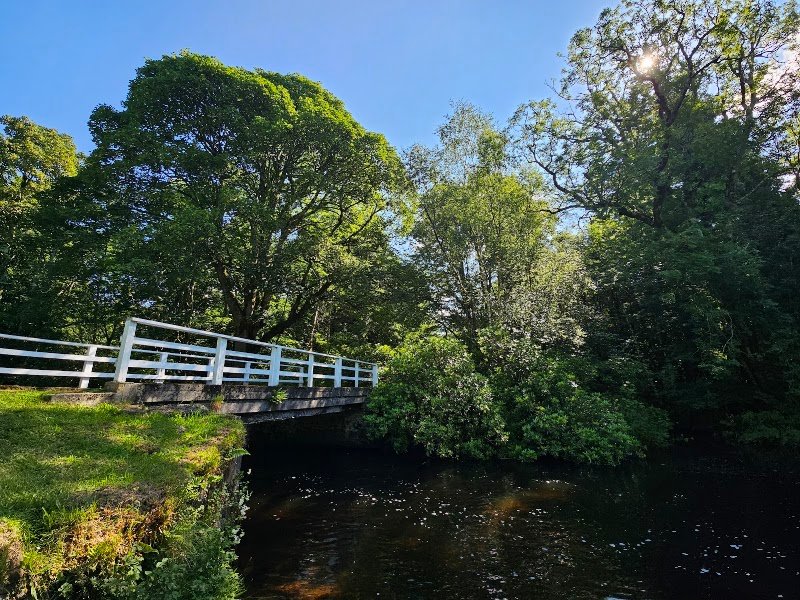 Bridgend Woods