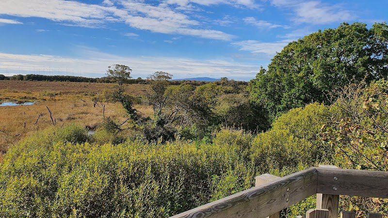 Glasson Moss Nature Reserve