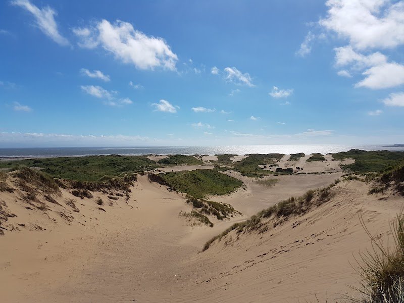 Merthyr Mawr Nature Reserve