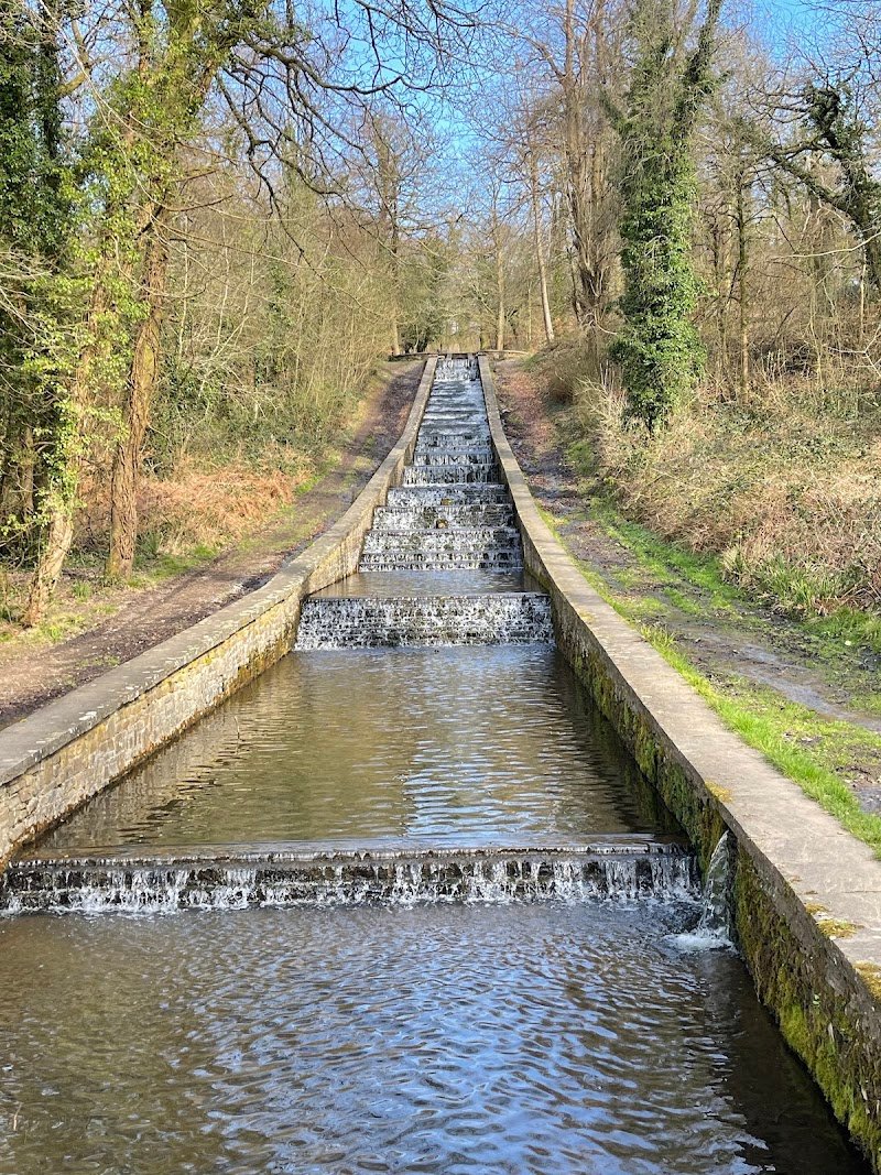Gnoll Country Park