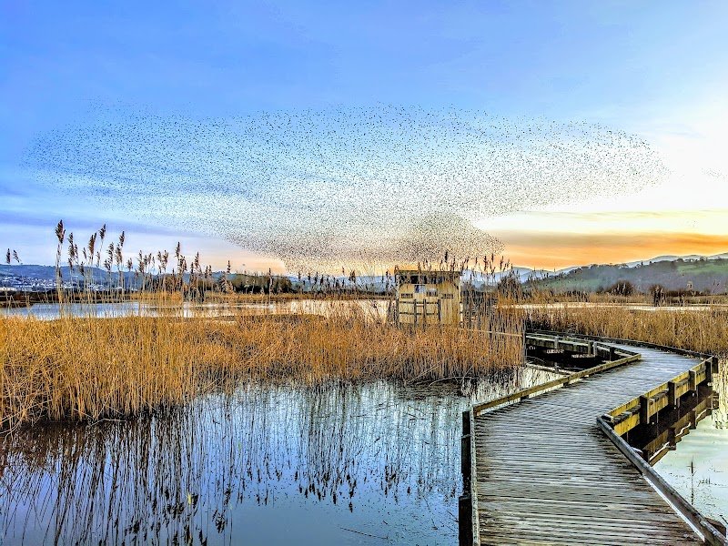 RSPB Conwy