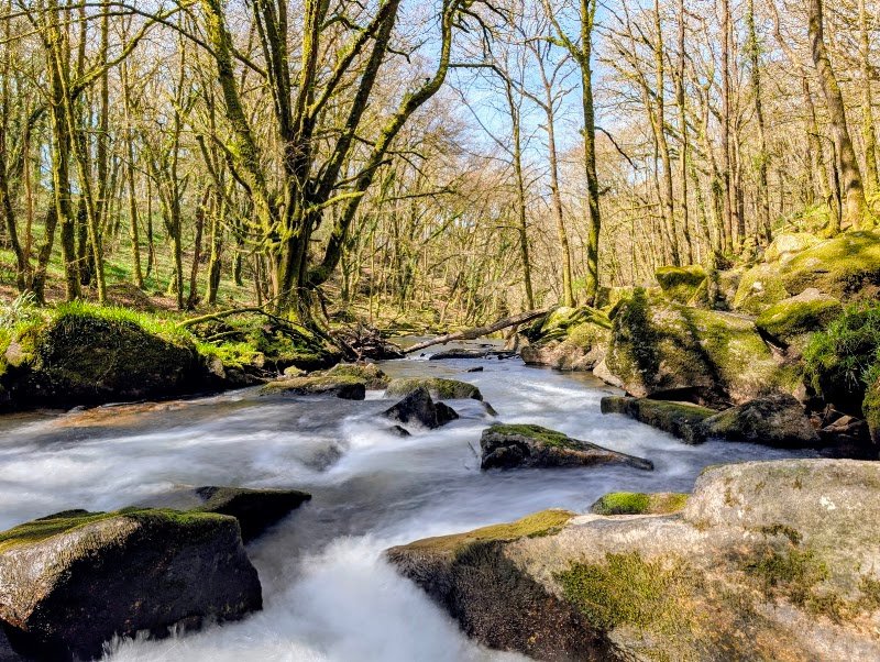 Golitha Falls National Nature Reserve