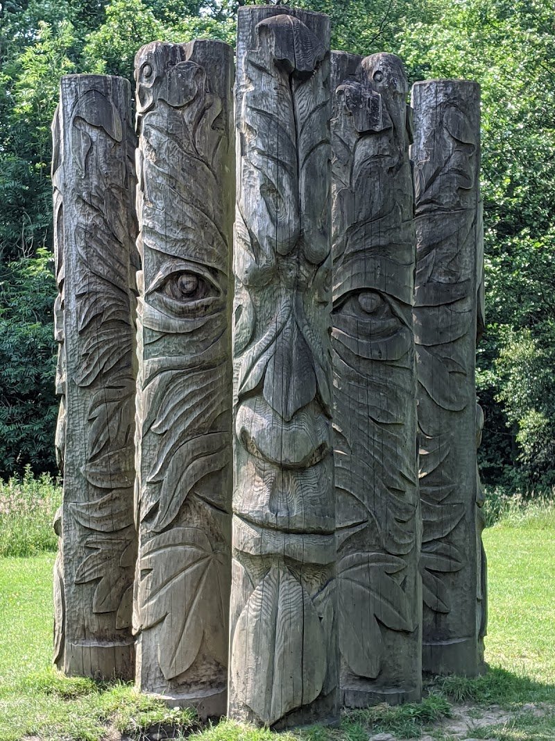 Hamsterley Forest