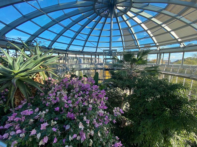 Sunderland Museum, Winter Gardens