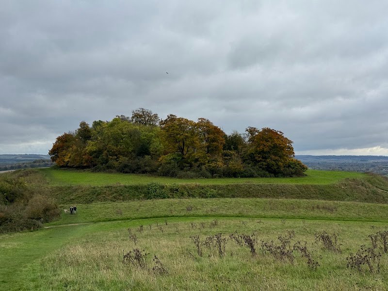 Wittenham Clumps