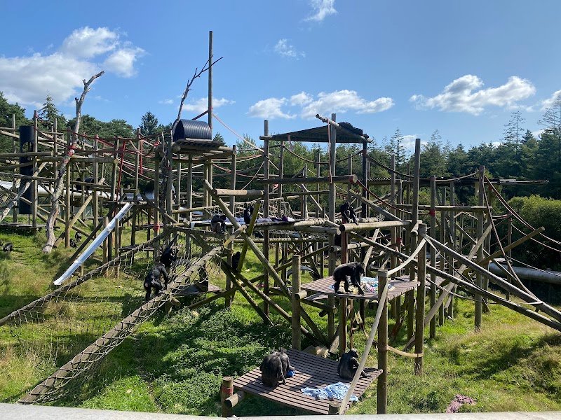 Monkey World
