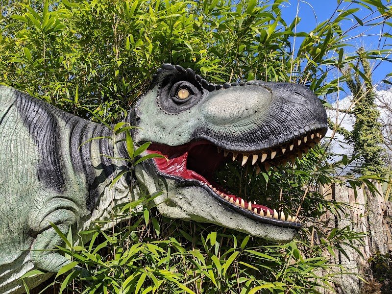 Dino Park at Hetland