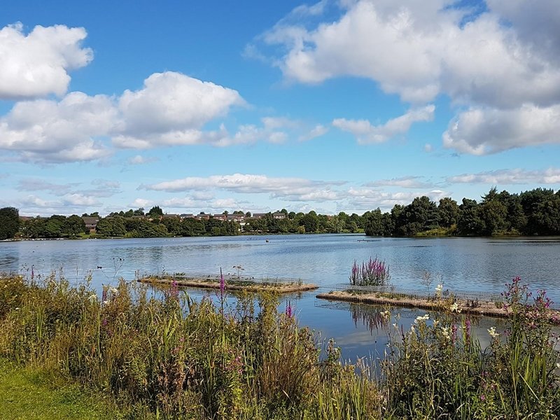 Seven Lochs Wetland Park