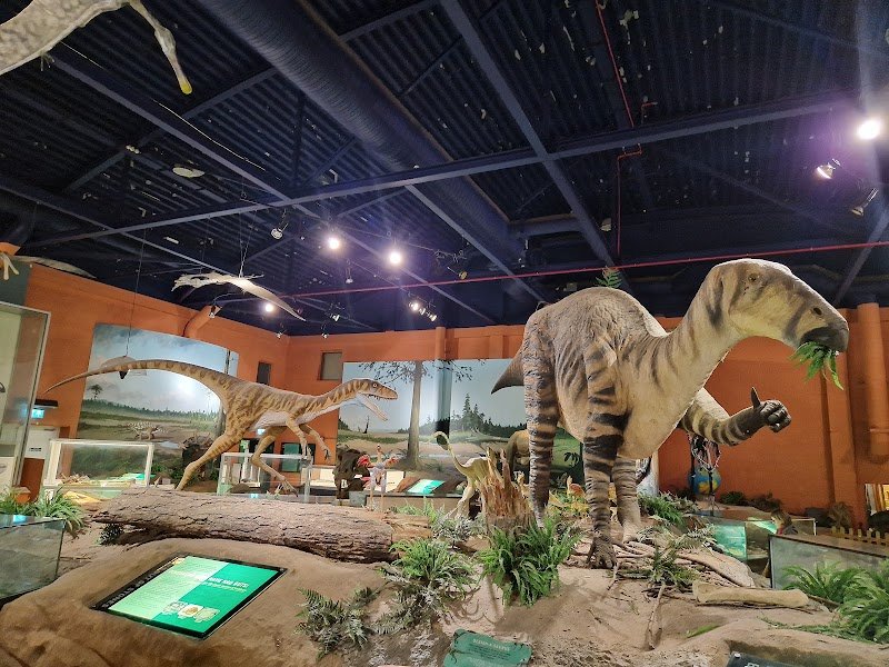 Dinosaur Isle Museum