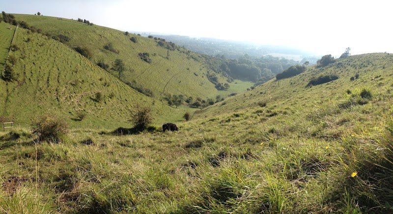 Kent Downs National Landscape