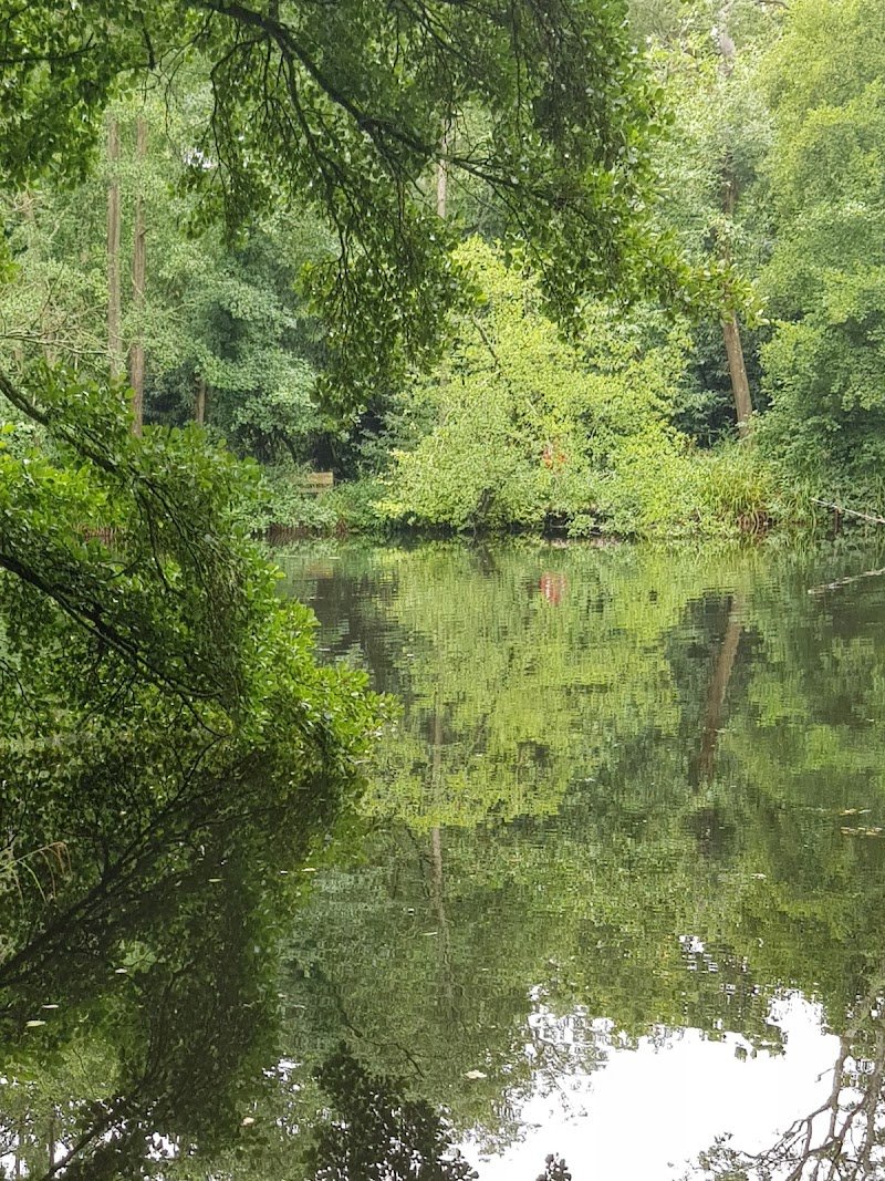 Brockhill Country Park