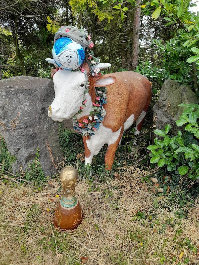 Cow