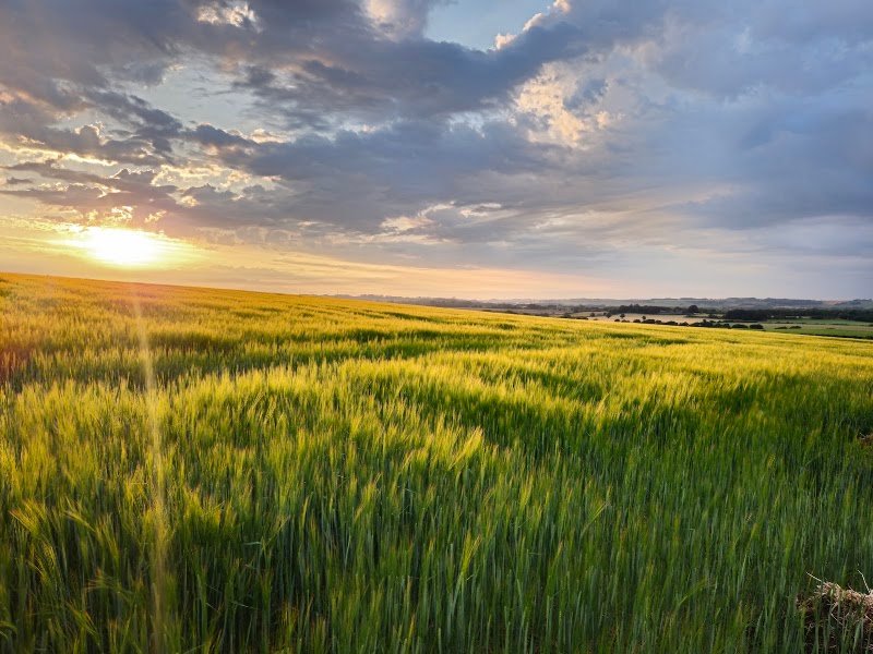 Lincolnshire Wolds National Landscape