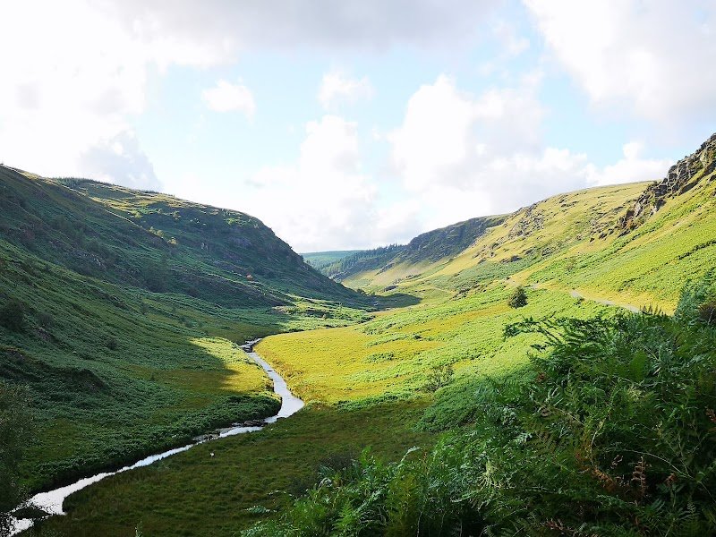 National Trust - Abergwesyn Common