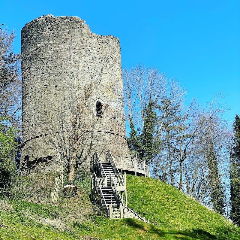 Castell Bronllys