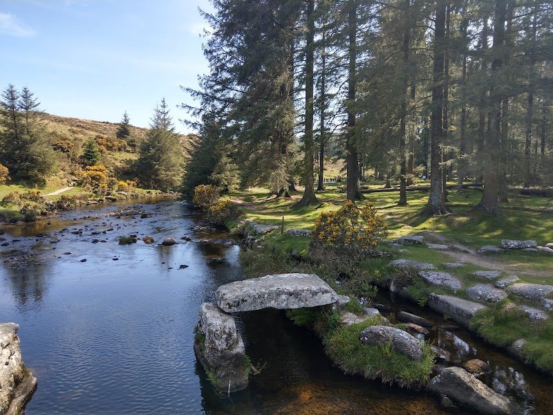Bellever Forest