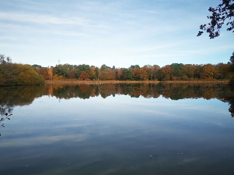 Stover Park