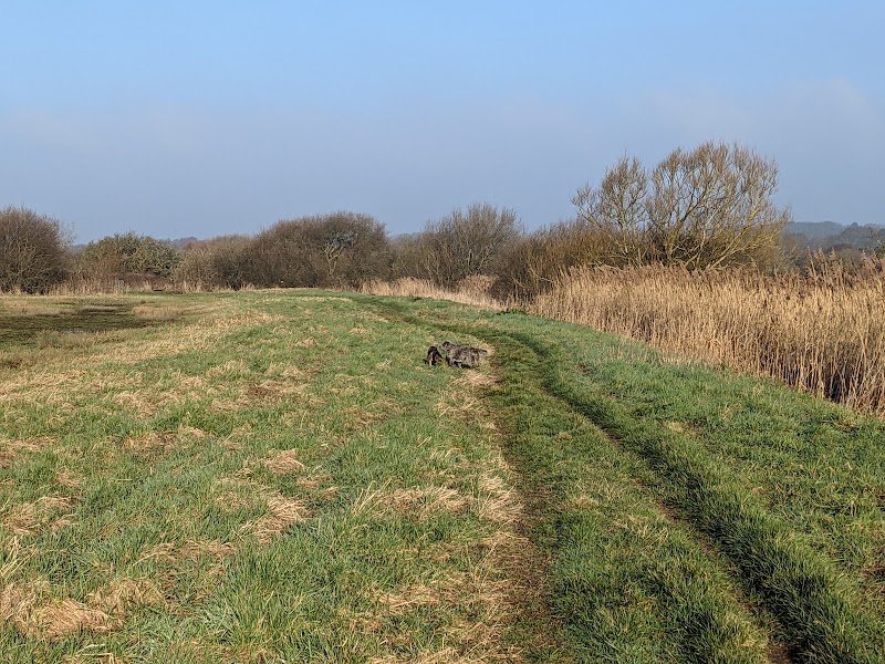 Combe Valley Countryside Park - Reedswood Road Access Point