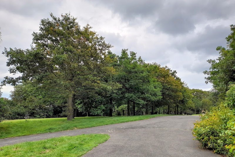 Gensing Gardens