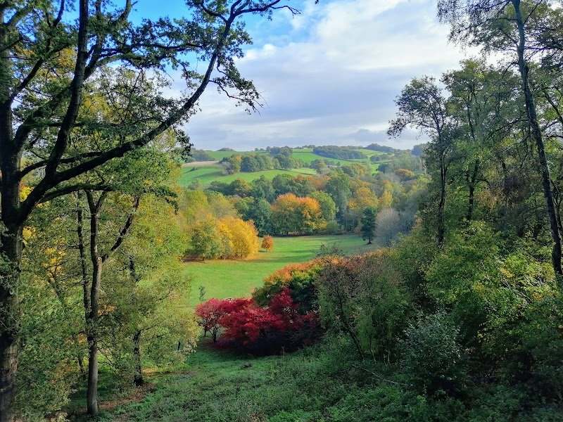 National Trust - Winkworth Arboretum