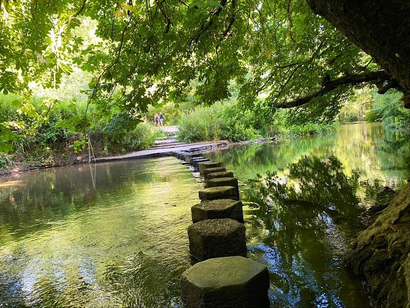Stepping Stones Walk