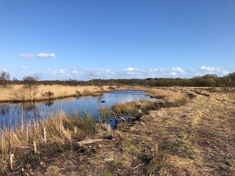 Risley Moss