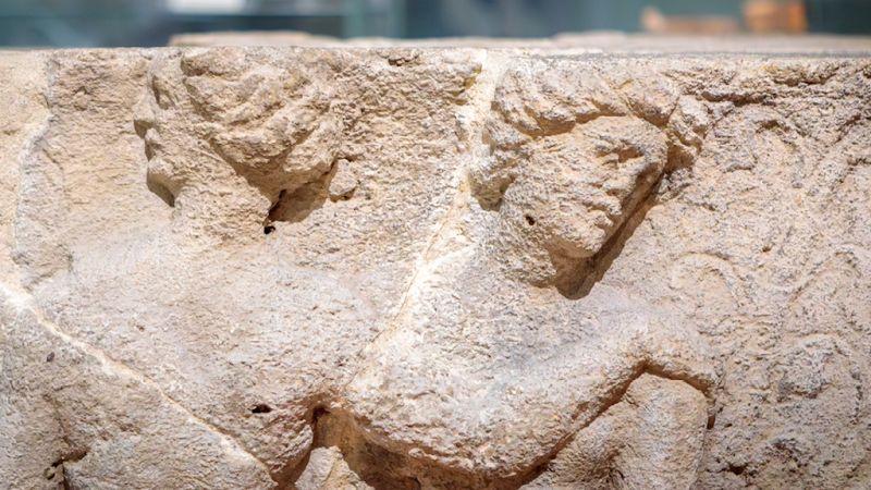 The Novium Museum