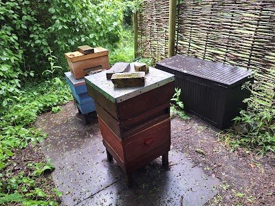 The Bee Garden