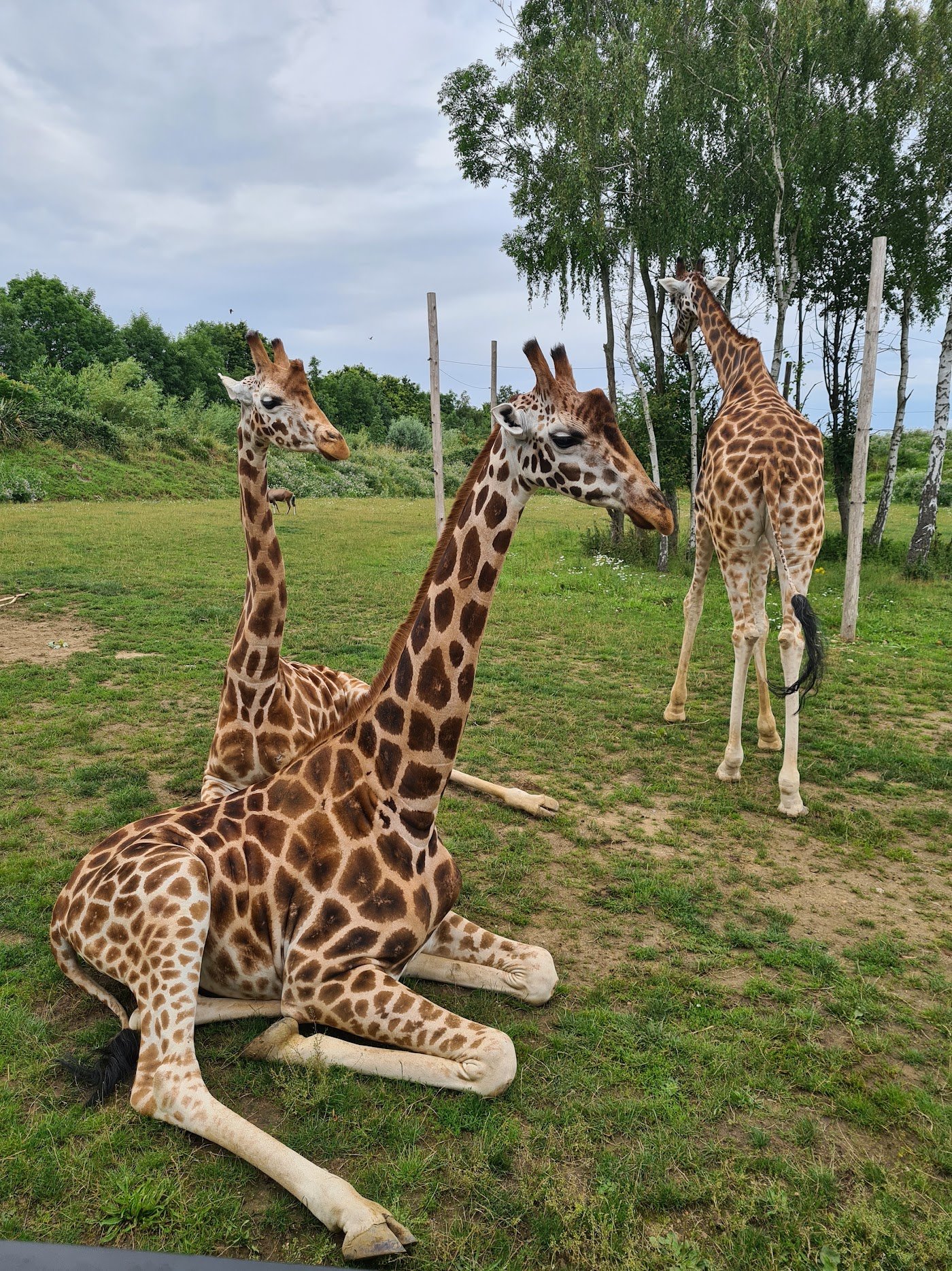 Chessington World of Adventures