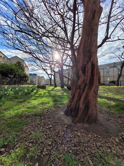 Hopetoun Crescent Garden