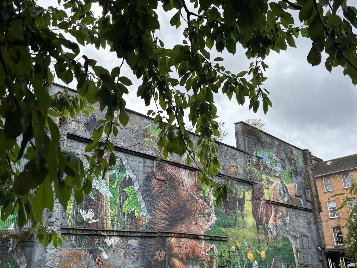 Glasgow Walking Tours