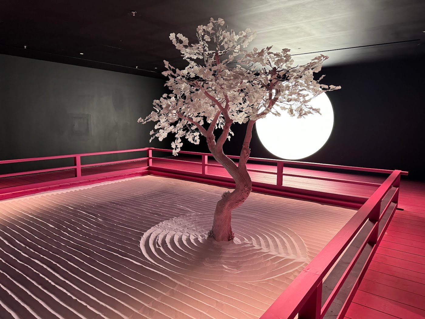 Moco Museum London