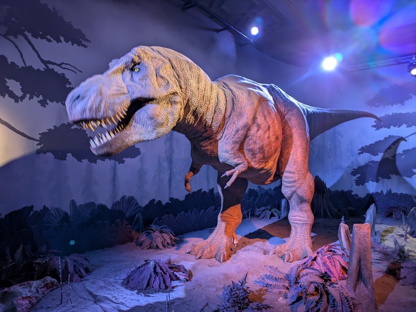Natural History Museum London