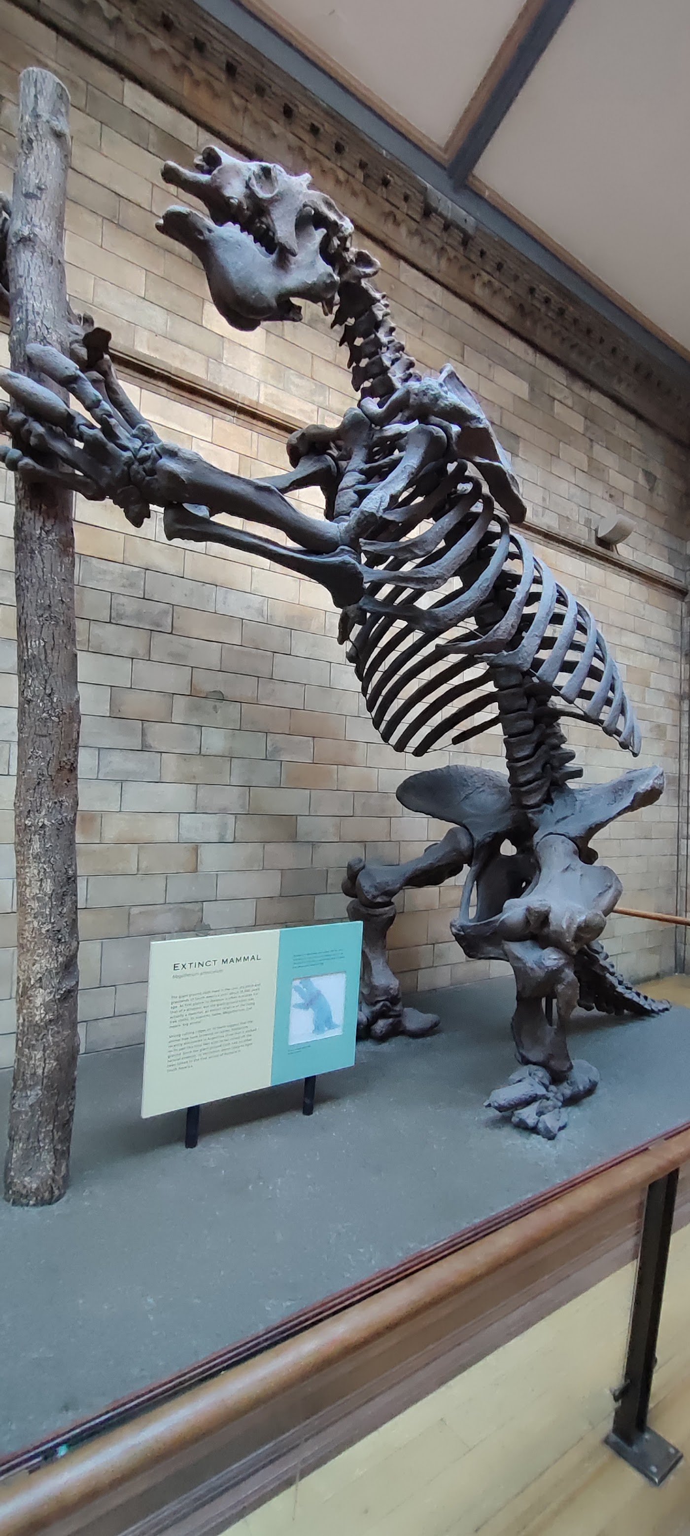 Natural History Museum London